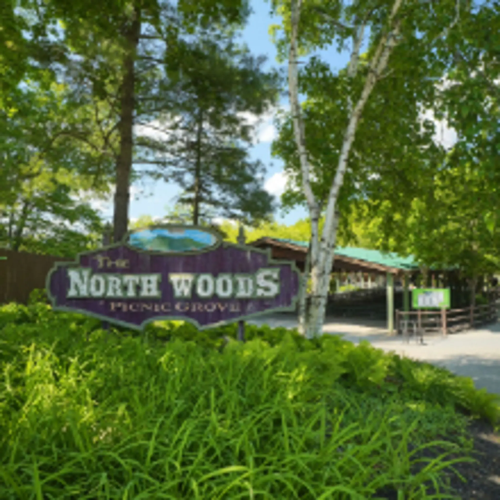 Northwoods Picnic Grove