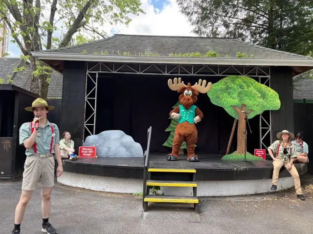 Ask a Moose background image