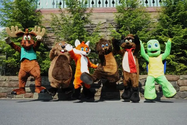 Timbertown Meet and Greet background image